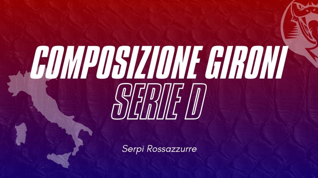 GIRONI CAMPIONATO SERIE D&nbsp;2024/2025